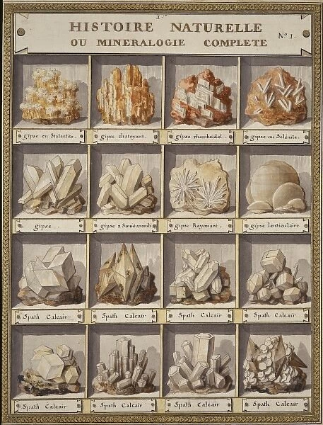 Plate 1 from Histoire naturelle? (1789)