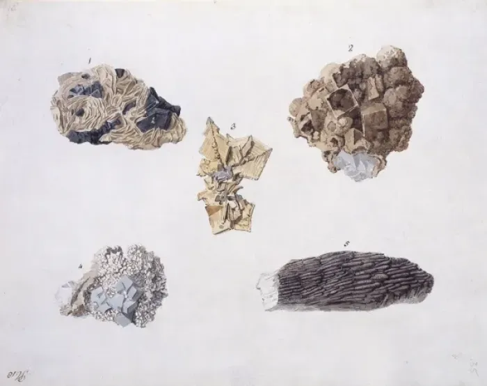 Framed Print : Plate 18 from Specimens of British Minerals? vol. 1 by P. Ra Framed Print : Plate 18 from Specimens of British Minerals? vol. 1 by P. Ra