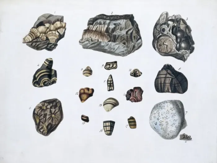 Framed Print : Plate 1a from Specimens of British Minerals? vol. 1 by P. Ra Framed Print : Plate 1a from Specimens of British Minerals? vol. 1 by P. Ra