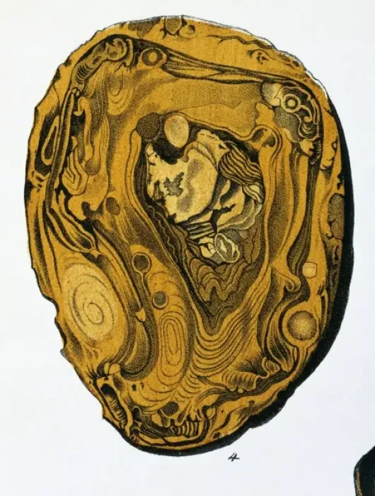 Framed Print : Plate 3, fig 4 from Mineralienbuch Framed Print : Plate 3, fig 4 from Mineralienbuch