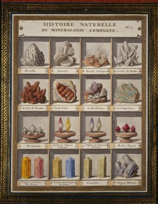 Framed Print : Plate 3 from Histoire naturelle? (1789) Framed Print : Plate 3 from Histoire naturelle? (1789)