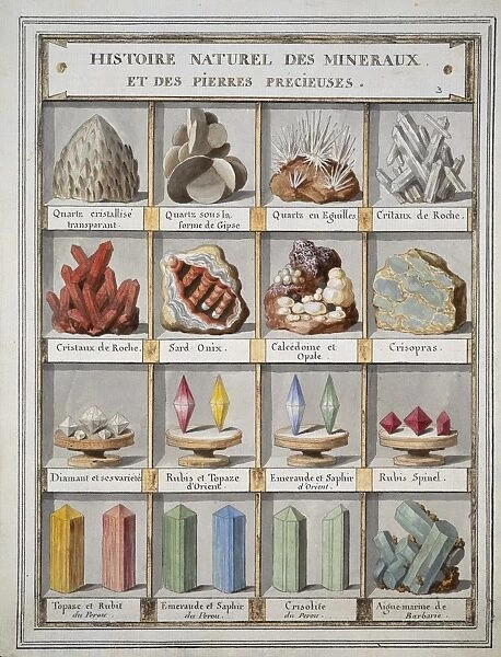 Plate 3a from Histoire naturelle? (1789)