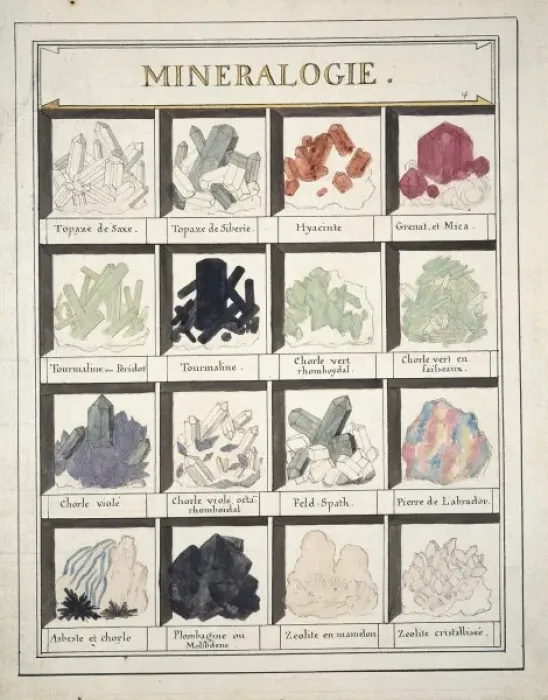 Framed Print : Plate 4a from Histoire naturelle? (1789) Framed Print : Plate 4a from Histoire naturelle? (1789)