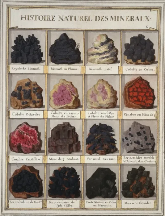 Framed Print : Plate 6a from Histoire naturelle? (1789) Framed Print : Plate 6a from Histoire naturelle? (1789)