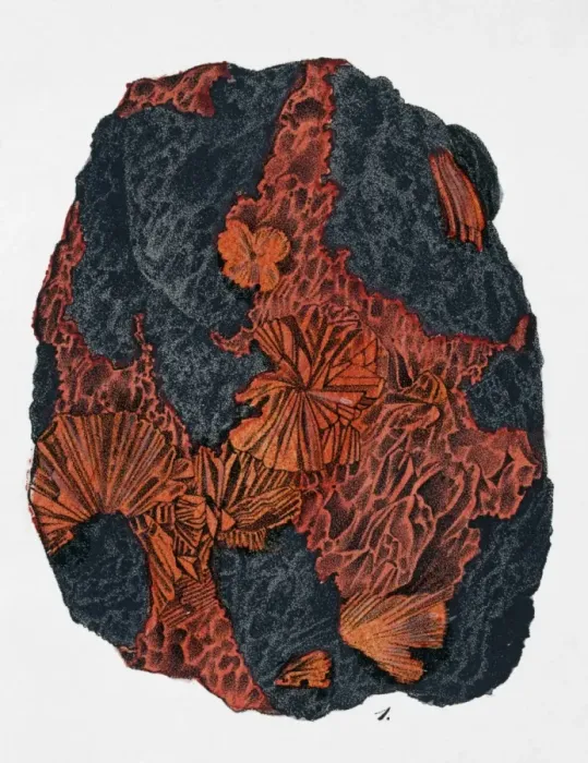Framed Print : Plate 8, fig 1 from Mineralienbuch Framed Print : Plate 8, fig 1 from Mineralienbuch