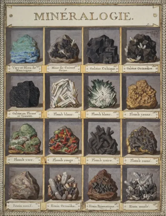 Framed Print : Plate 9a from Histoire naturelle? (1789) Framed Print : Plate 9a from Histoire naturelle? (1789)
