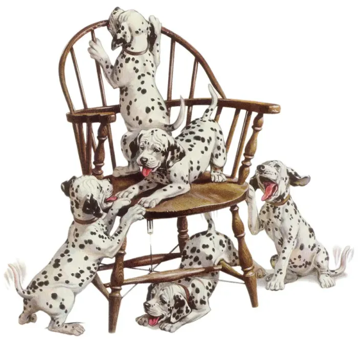 Framed Print : Playful Dalmatian Pups Date: 1950 Framed Print : Playful Dalmatian Pups Date: 1950