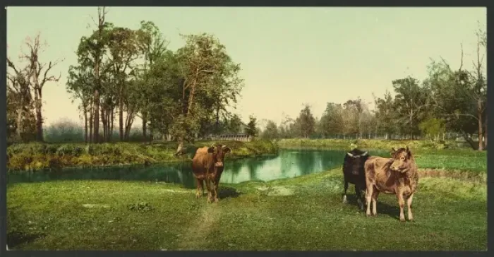 Framed Print : A pleasant pasture Framed Print : A pleasant pasture