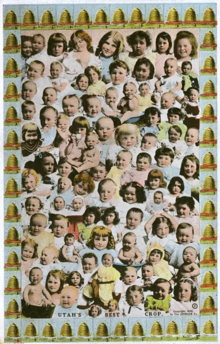 Framed Print : Plentiful crop of Babies - Utah, United States Framed Print : Plentiful crop of Babies - Utah, United States