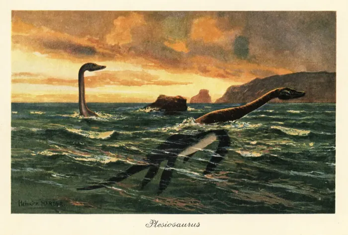Framed Print : Plesiosaurus dolichodeirus in the ocean Framed Print : Plesiosaurus dolichodeirus in the ocean