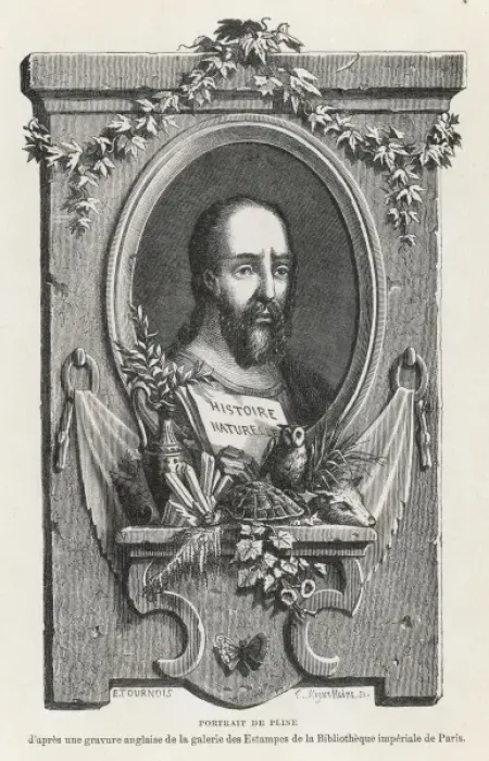 Framed Print : Pliny the Elder Framed Print : Pliny the Elder