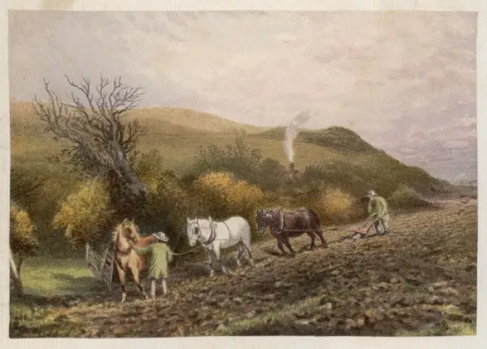 Framed Print : Plough with 3 Horses Framed Print : Plough with 3 Horses