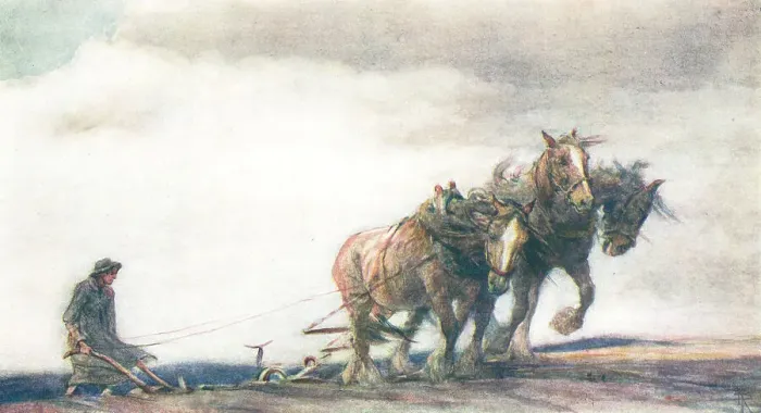 Framed Print : The Plough Team