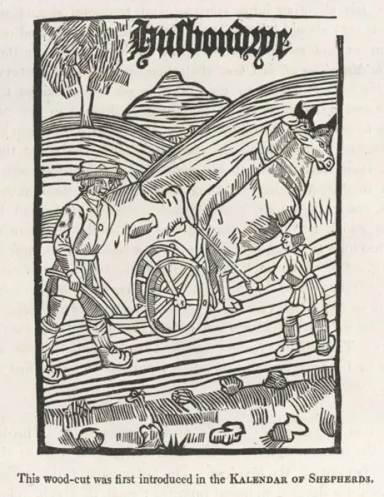 Framed Print : Ploughing, 16th Century Framed Print : Ploughing, 16th Century
