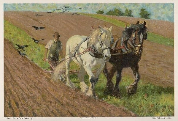 Ploughing in 1903