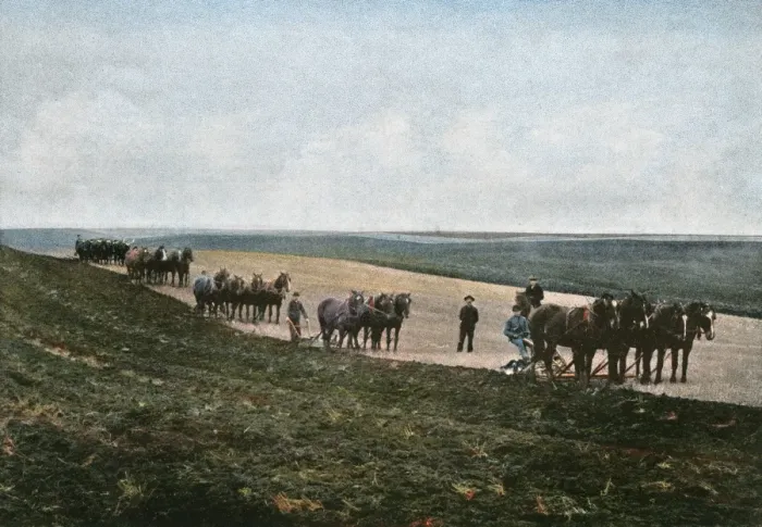 Framed Print : Ploughing, Canada Framed Print : Ploughing, Canada