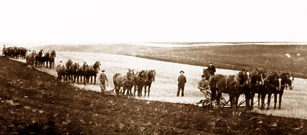 Ploughing on the Canadian Prairies, early 1900s
