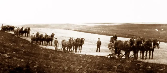 Framed Print : Ploughing on the Canadian Prairies, early 1900s Framed Print : Ploughing on the Canadian Prairies, early 1900s