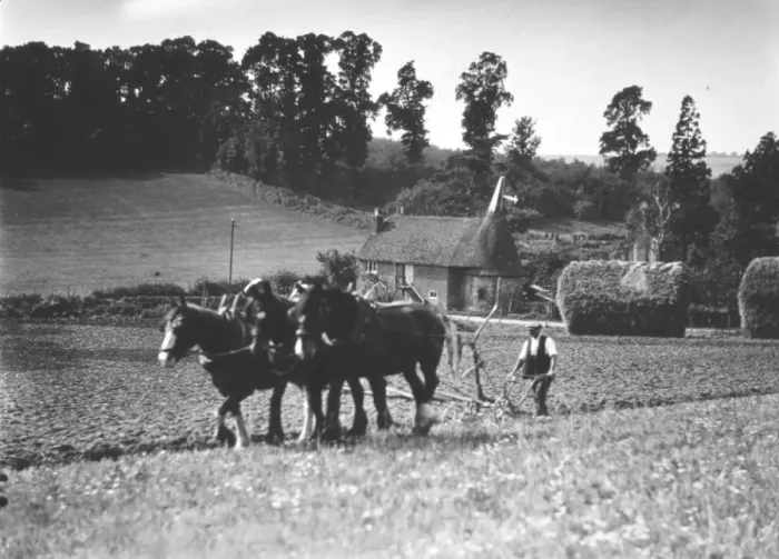 Framed Print : Ploughing field 1930s Framed Print : Ploughing field 1930s