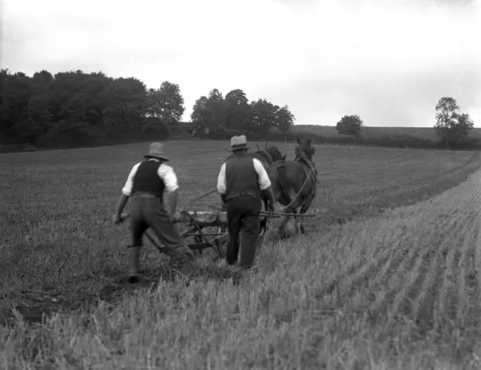 Framed Print : Ploughing Fields Framed Print : Ploughing Fields