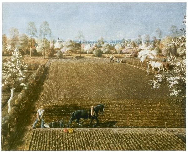 Ploughing in Germany