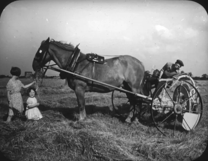Framed Print : Ploughing with Horse Framed Print : Ploughing with Horse
