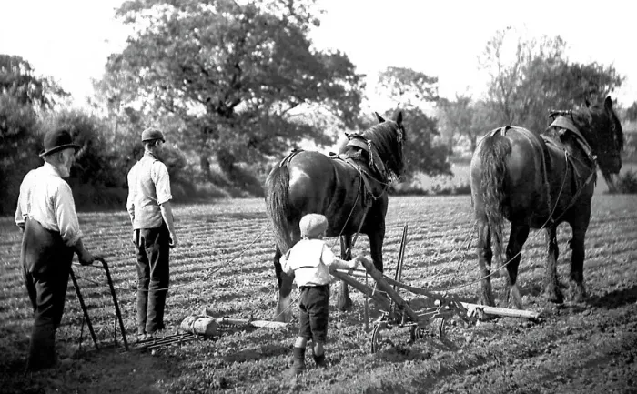 Framed Print : Ploughing with horses Framed Print : Ploughing with horses