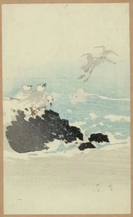 Framed Print : Plovers over waves Framed Print : Plovers over waves