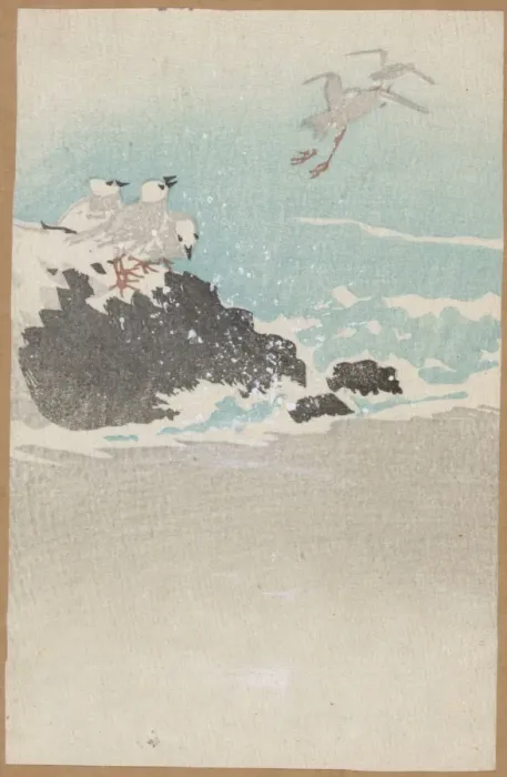 Framed Print : Plovers over waves Framed Print : Plovers over waves