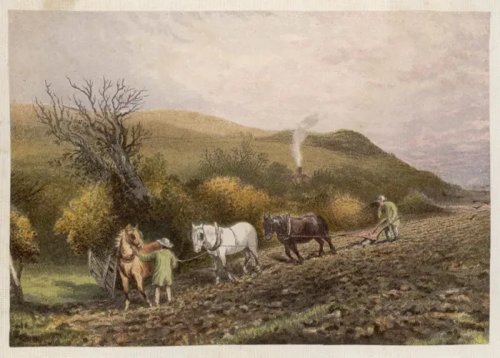 Framed Print : PLOWING WITH HORSES Framed Print : PLOWING WITH HORSES