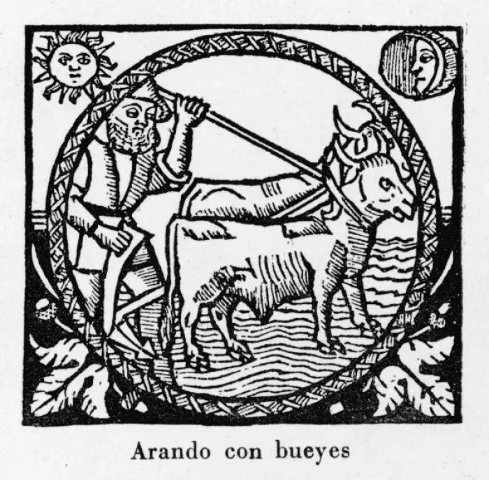 Framed Print : Plowing, Spain 1511 Framed Print : Plowing, Spain 1511