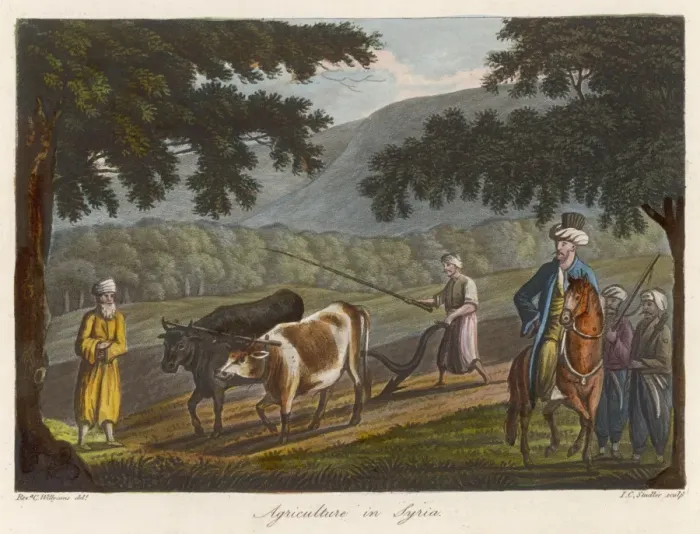 Framed Print : Plowing in Syria Framed Print : Plowing in Syria