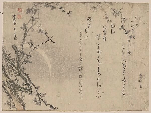 Plum blossoms of the third day of the new year
