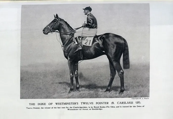 Framed Print : Twelve Pointer, ridden by Bernard Carslake Framed Print : Twelve Pointer, ridden by Bernard Carslake