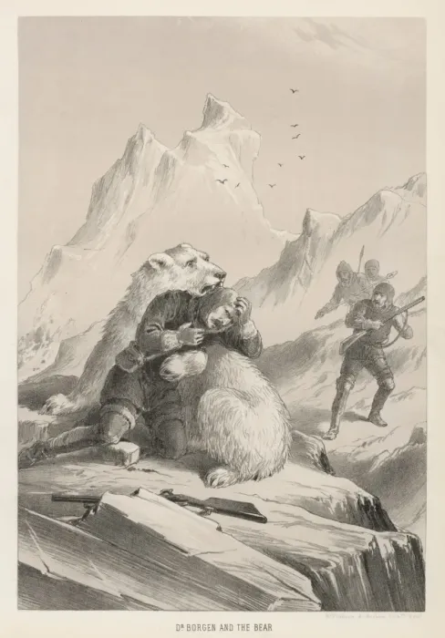 Framed Print : Polar Bear / Mr Borgen Framed Print : Polar Bear / Mr Borgen