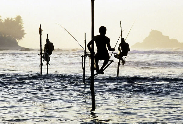 Pole fishermen, Sri Lanka - 1
