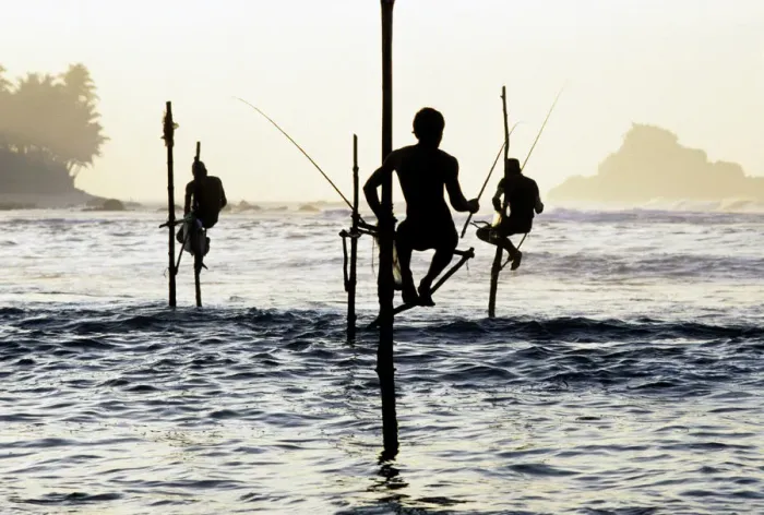 Framed Print : Pole fishermen, Sri Lanka - 1 Framed Print : Pole fishermen, Sri Lanka - 1