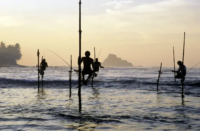 Framed Print : Pole fishermen, Sri Lanka - 2 Framed Print : Pole fishermen, Sri Lanka - 2
