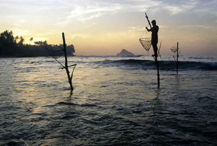 Framed Print : Pole fishermen, Sri Lanka - 5 Framed Print : Pole fishermen, Sri Lanka - 5