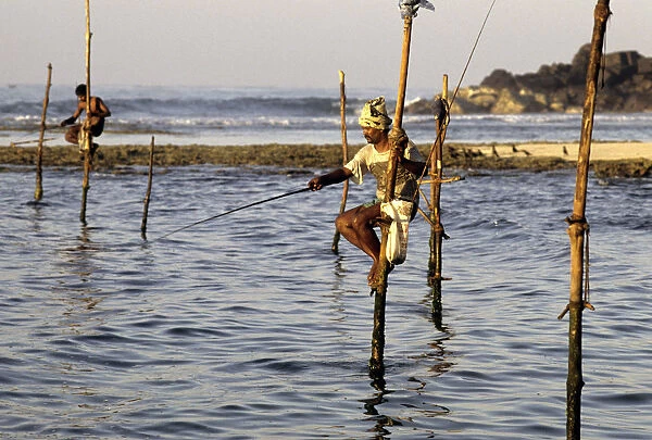 Pole fishermen, Sri Lanka - 6
