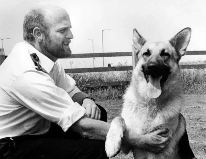 Framed Print : Police dog handler and dog, Camborne, Cornwall Framed Print : Police dog handler and dog, Camborne, Cornwall