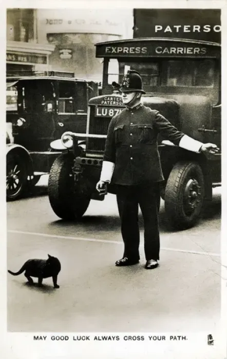 Framed Print : Policeman Helping Black Cat to Cross Road, London Framed Print : Policeman Helping Black Cat to Cross Road, London