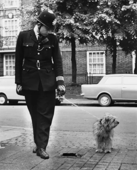 Framed Print : Policeman in a street with a lost dog Framed Print : Policeman in a street with a lost dog