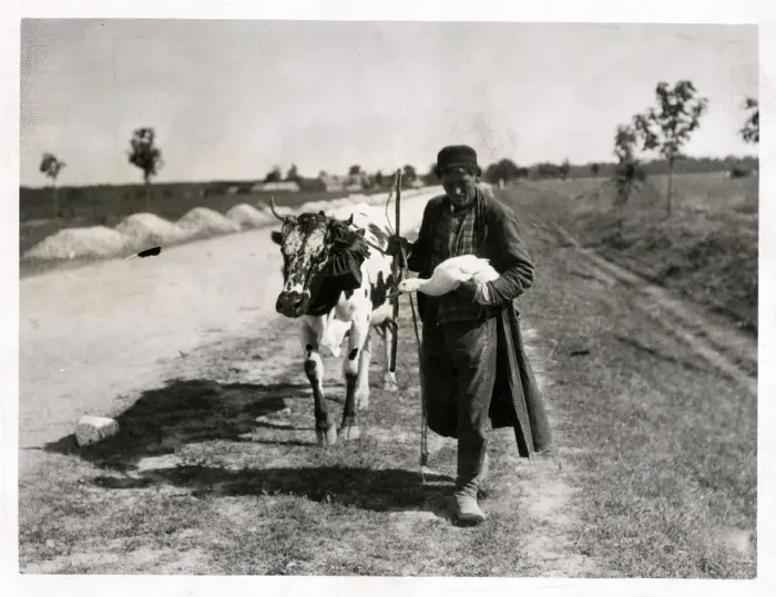 Framed Print : Polish refugee flees ahead of German advance Poland WWI Framed Print : Polish refugee flees ahead of German advance Poland WWI