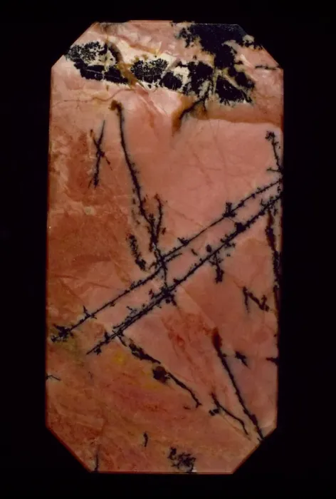 Framed Print : Polished slab of rhodonite Framed Print : Polished slab of rhodonite