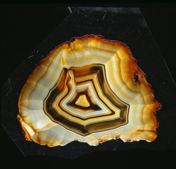 Agate. A polished slice of agate or chalcedony from Uraguay