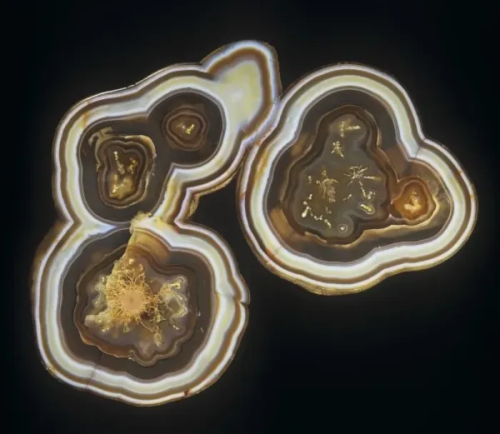 Framed Print : Agate. A polished slice of agate from Uraguay