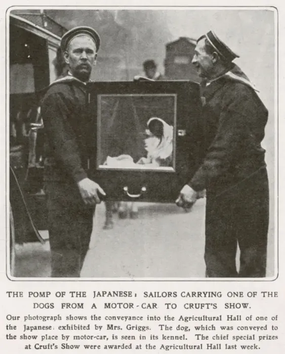Framed Print : The Pomp of the Japanese Framed Print : The Pomp of the Japanese