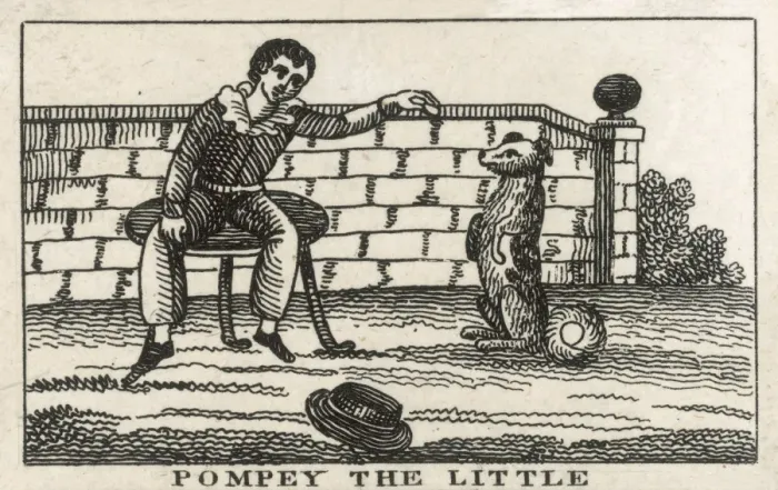 Framed Print : Pompey the Little Framed Print : Pompey the Little