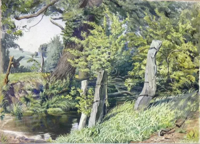 Framed Print : A Pond in a woodland setting Framed Print : A Pond in a woodland setting